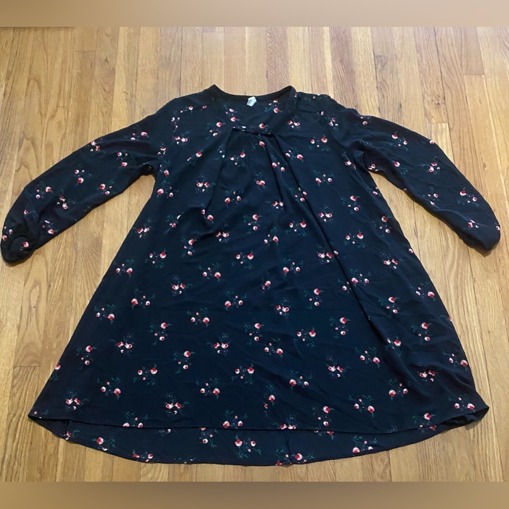Hanna Anderson Dress